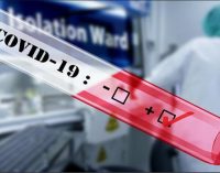 COVID-19 ДАР ИДМ. Шумораи гирифторони коронавирус дар Иттиҳод ба 7101 нафар расид