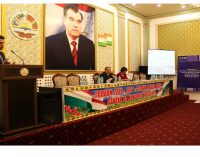 Лоиҳаи “Хизматрасониҳои маҷмӯӣ барои модар ва кӯдак” дар ноҳияҳои таҷрибавӣ муаррифӣ гардид