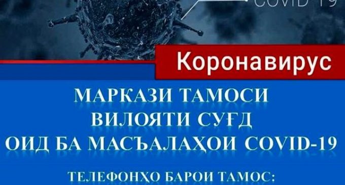 COVID-19. Дар шаҳри Хуҷанд Маркази тамоси шабонарӯзӣ фаъол гардид