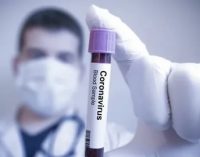 COVID-19. Число инфицированных коронавирусом в мире превысило 6,3 млн человек