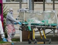 COVID-19. Шумораи сироятёфтагон аз коронавирус дар ҷаҳон ба беш аз 4,3 миллион нафар расид