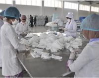 ҶДММ «Фарм-Текс»-и ноҳияи Данғара дар як рӯз то 15 ҳазор ниқобҳои тиббиро ба муассисаҳои гуногуни тиббии Тоҷикистон мерасонад