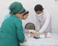 За 9 месяцев 2022 года на бесплатной основе проведено  74 тыс. 718 обрезаний