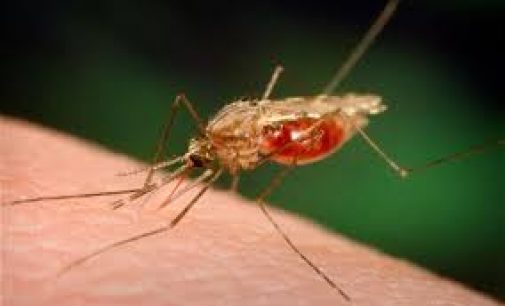 Tajikistan Receives the Malaria-Free CountryCertificate