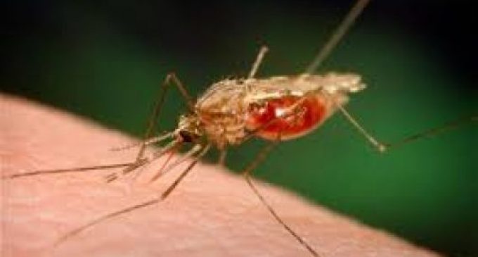 Tajikistan Receives the Malaria-Free CountryCertificate