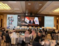 Egypt: Minister Jamоliddin Abdullozoda Attends the WHO Tripartite Regional Meeting