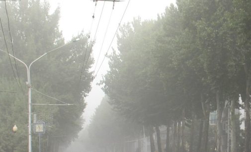 Ҳавои ғуборолуд ба саломатии инсон чӣ таъсир мерасонад? Назари мутахассис