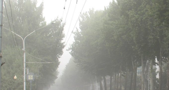 Ҳавои ғуборолуд ба саломатии инсон чӣ таъсир мерасонад? Назари мутахассис