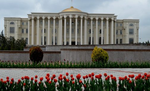 Пешвои миллат Эмомалӣ Раҳмон ба хонаводаҳои ҳалокшудагони садамаи нақлиётии шаҳри Кӯлоб изҳори ҳамдардии амиқ намуданд