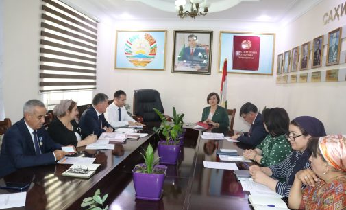 Discussion of the Implementation of National Sectoral Programs on Mother and Child and Healthy Nutrition