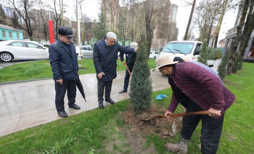 Корҳои сабзу  хуррамгардонӣ дар назди бинои вазорат