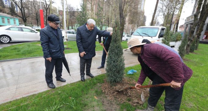 Корҳои сабзу  хуррамгардонӣ дар назди бинои вазорат