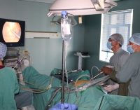 Tajik and Iranian Doctors Performed a Number of Complex Surgical Operations