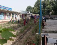 Аксҳо аз рафти шанбегии дастаҷамъона дар Вазорати тандурустӣ ва ҳифзи иҷтимоии аҳолии Ҷумҳурии Тоҷикистон