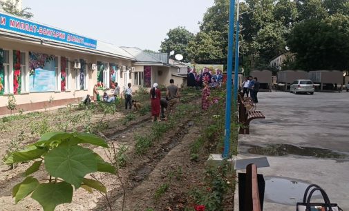 Аксҳо аз рафти шанбегии дастаҷамъона дар Вазорати тандурустӣ ва ҳифзи иҷтимоии аҳолии Ҷумҳурии Тоҷикистон